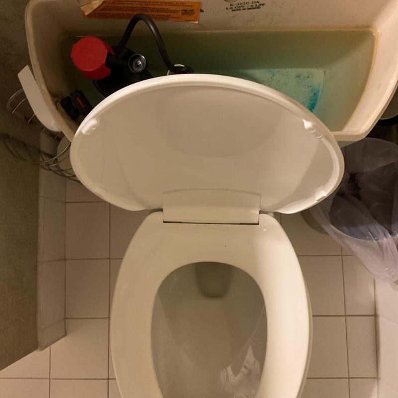 Toilet tank interior with flush valve and fill valve components