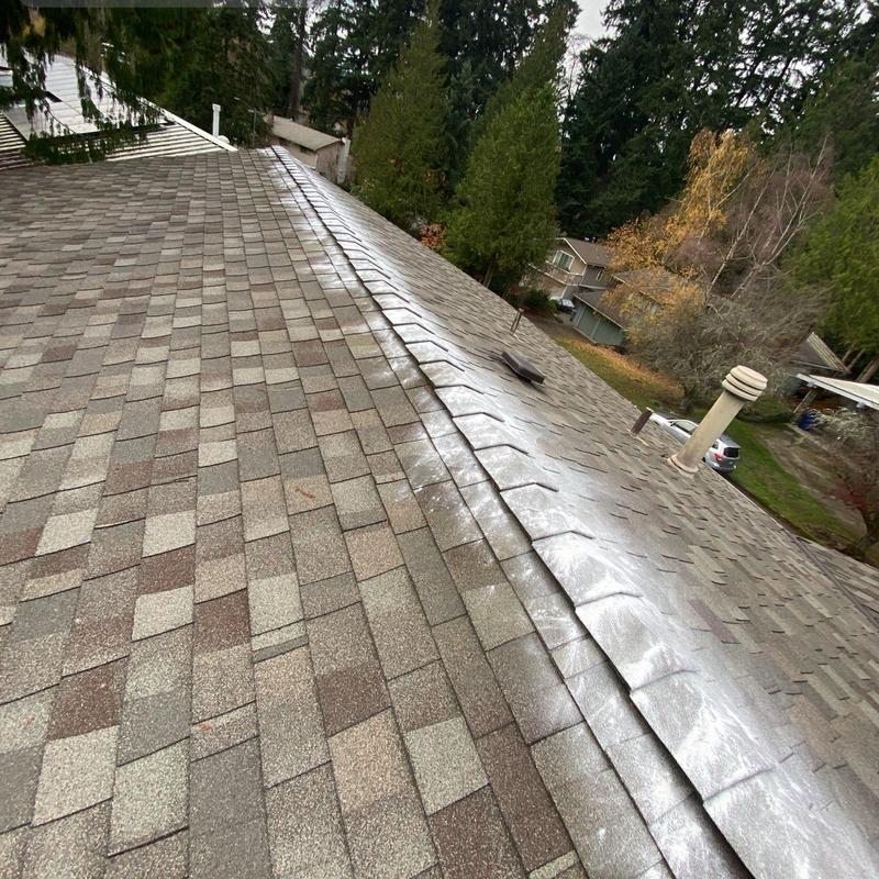 Asphalt shingle roof with ridge cap and moss treatment