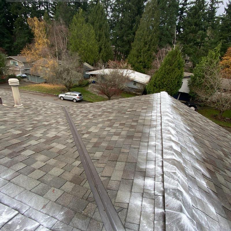 Roof shingles with moss treatment application in Bellevue