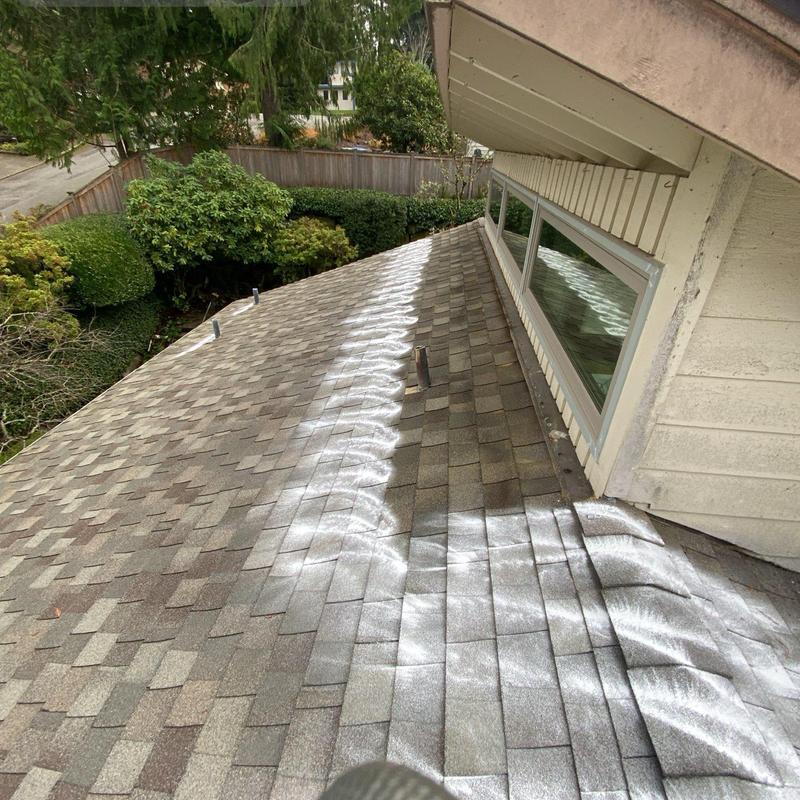 Roof shingles with applied moss treatment in Bellevue