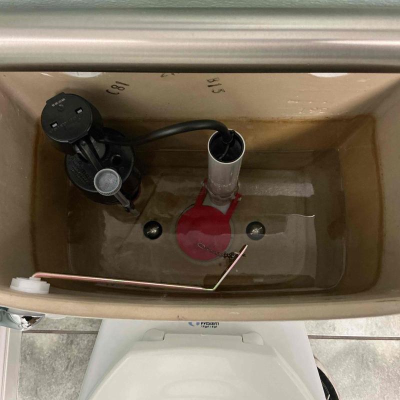 Toilet flush valve and trip lever inside tank