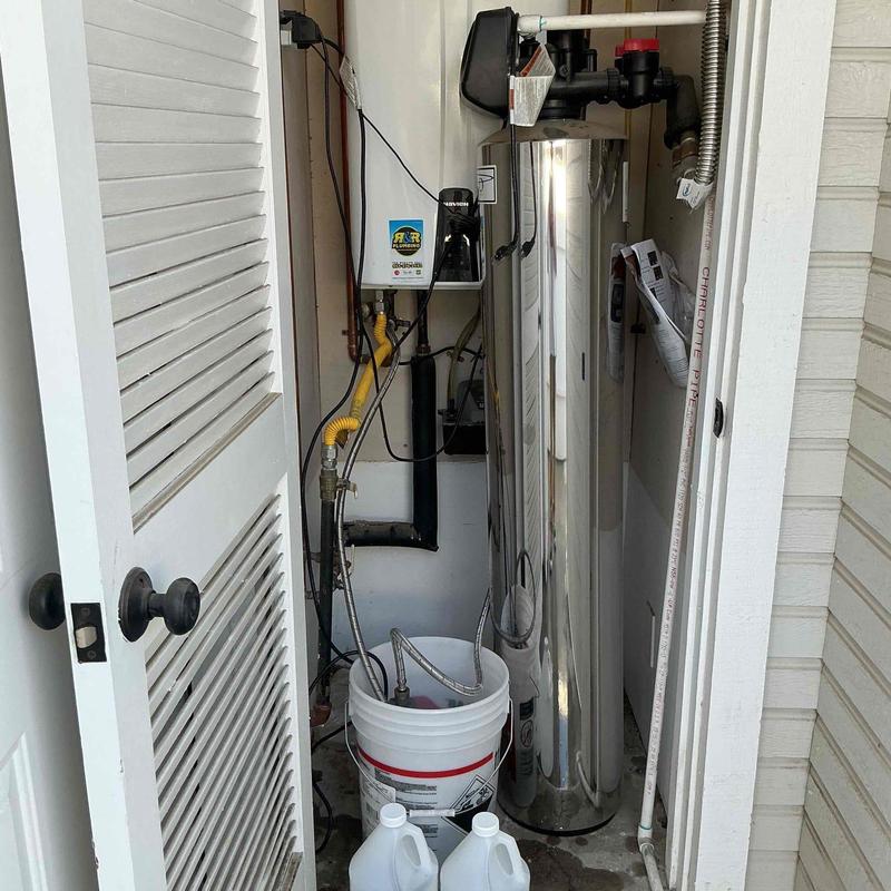 Tankless water heater flushing with descale solution
