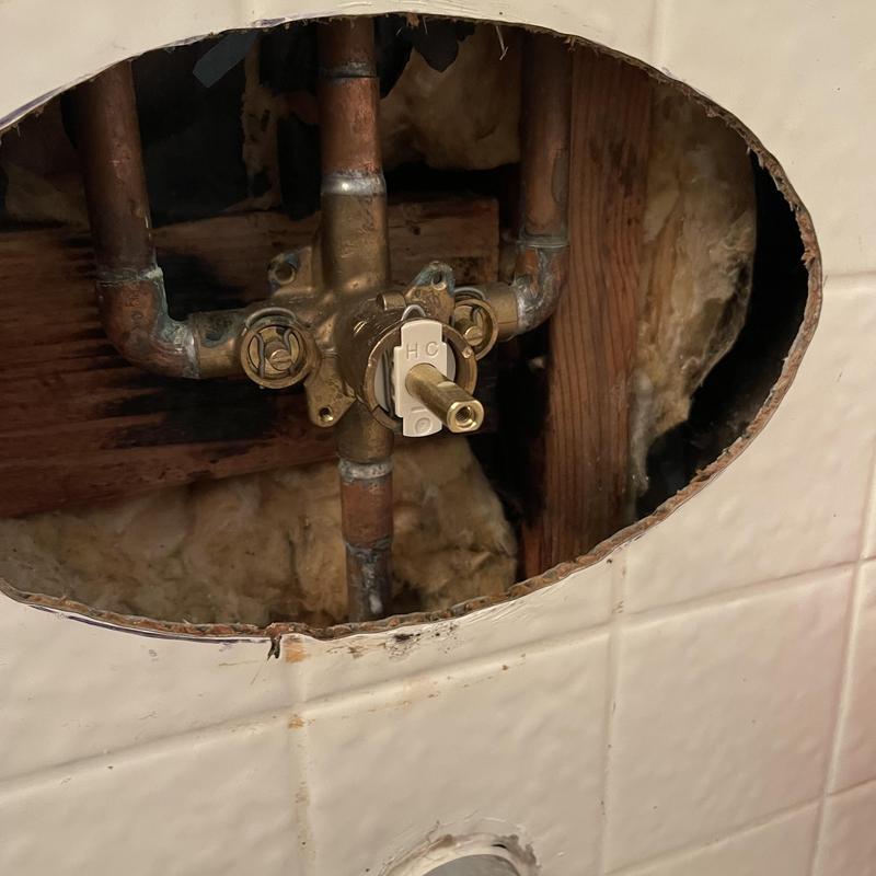 Moen Posi-Temp shower cartridge valve installed