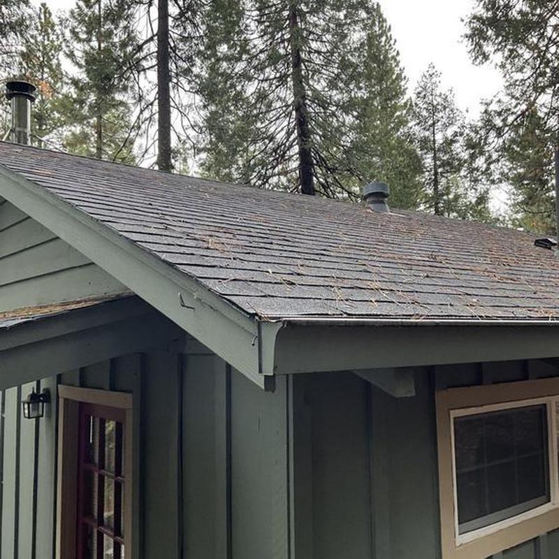 Asphalt roof with steel seamless gutters on cabin