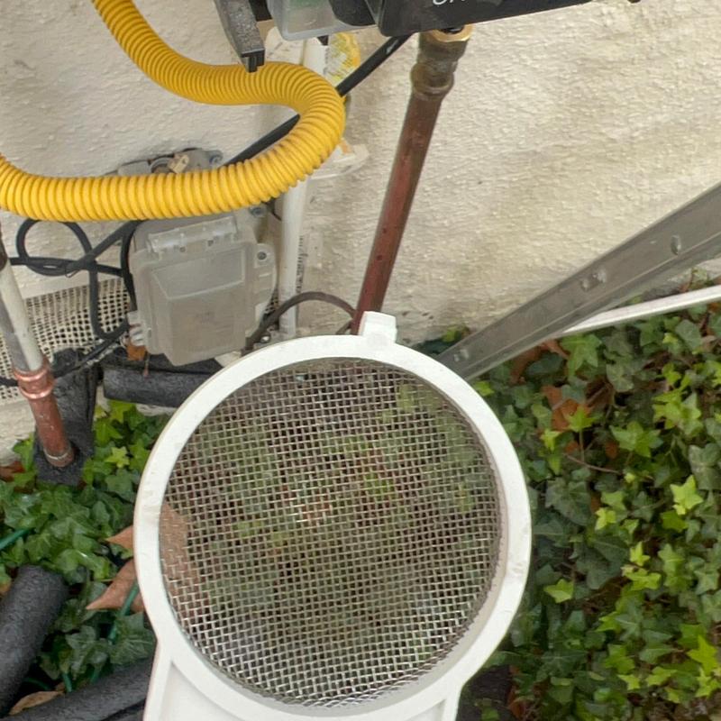 Tankless water heater filter cleaning and descaling