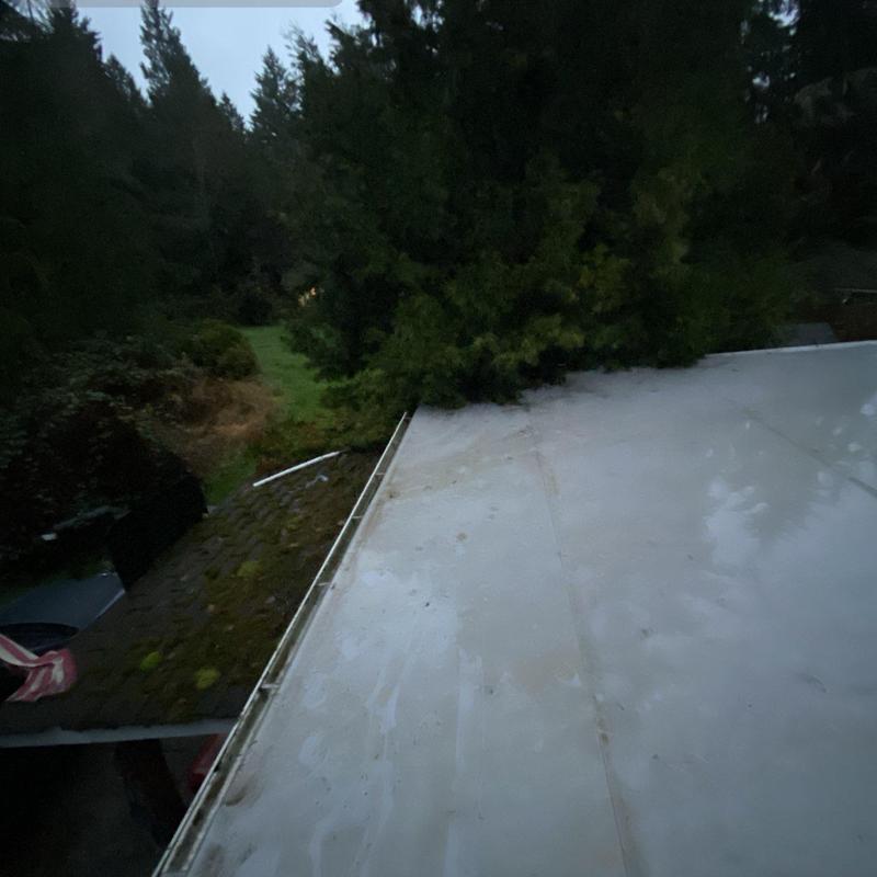 Flat roof surface with mossy shingles and gutter edge