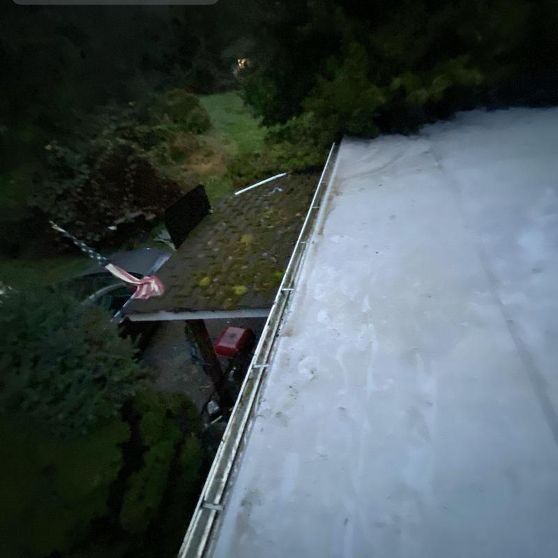 Roof gutters cleaning and moss removal service