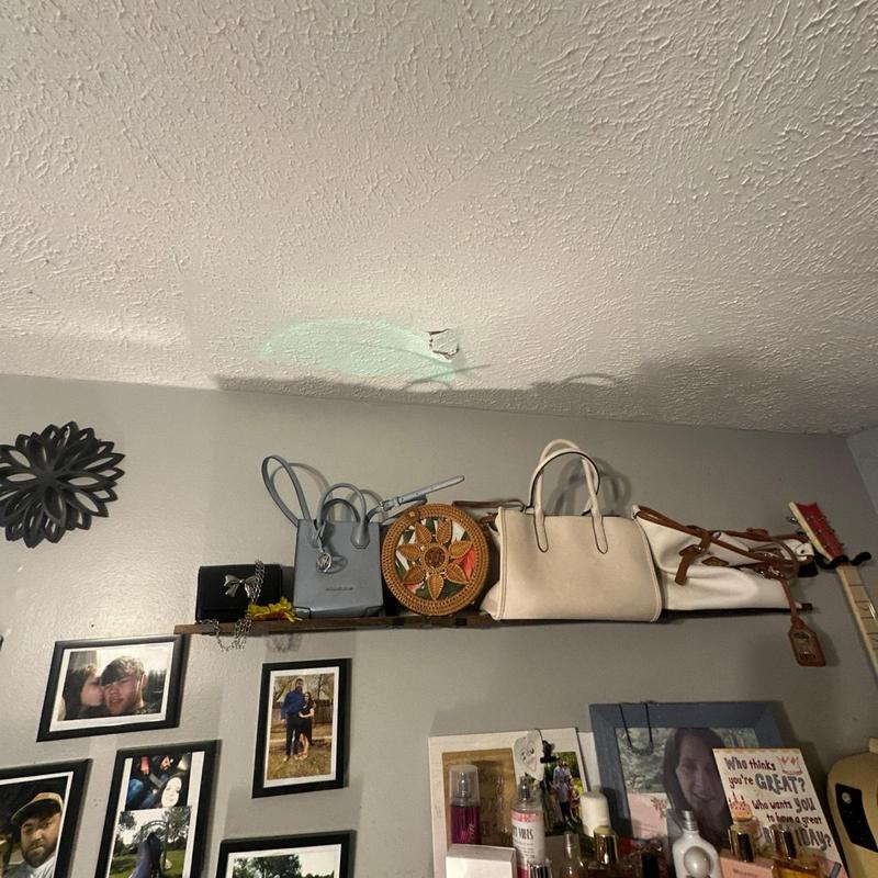 Ceiling damage in interior roof inspection