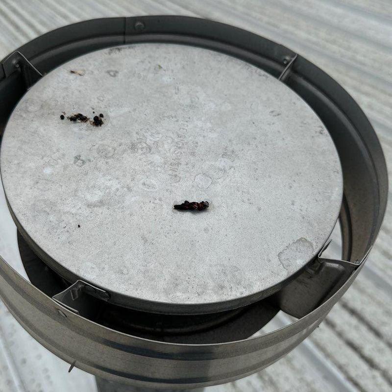 Metal chimney cap with rust spots on roof surface