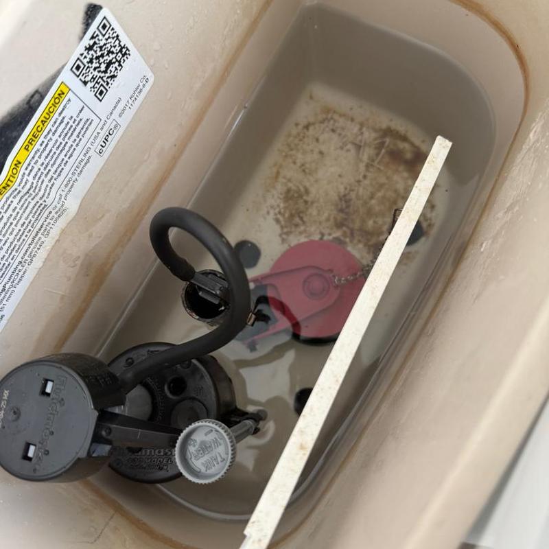 Toilet fill valve and flapper inside tank