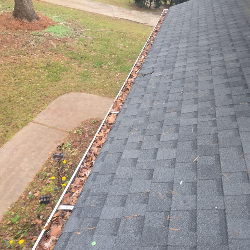 Roof shingles and leaf-filled gutter along eaves Roof shingles and leaf-filled gutter along eaves