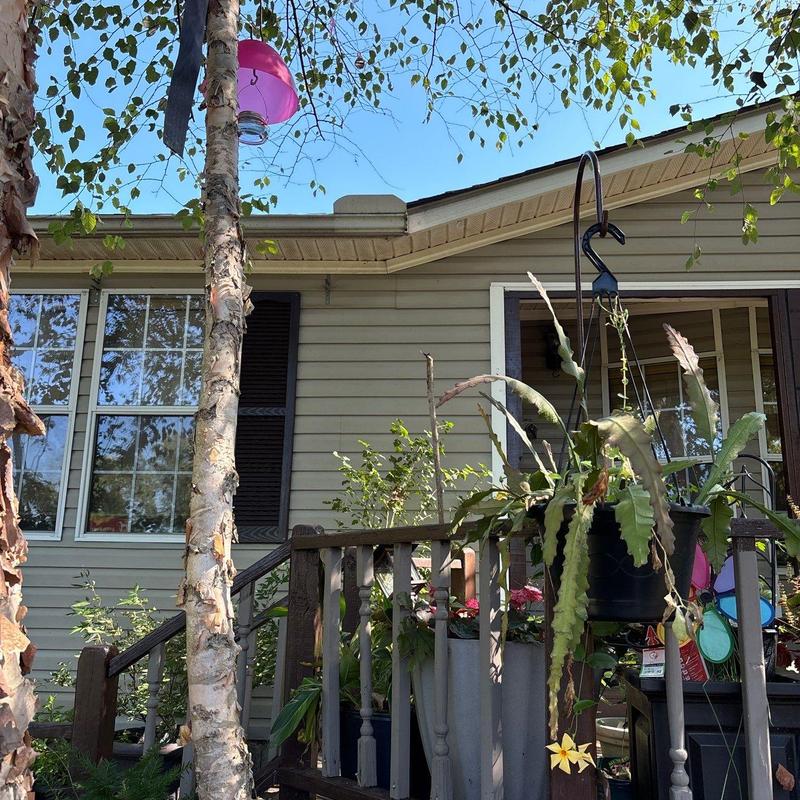 Vinyl siding exterior with porch and plants
