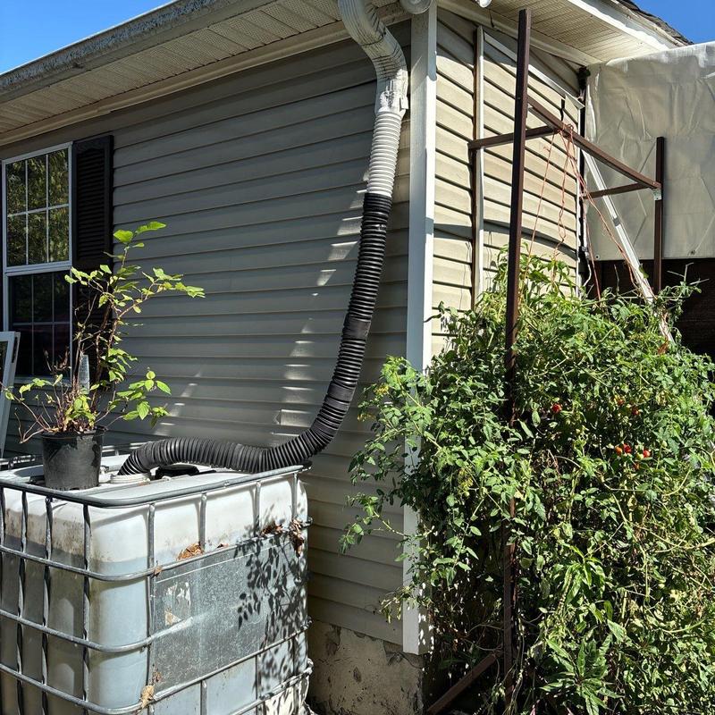 Rainwater collection system with downspout extension
