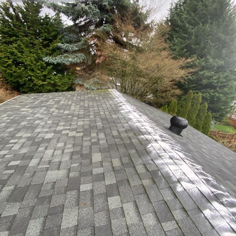 Asphalt shingle roof with moss treatment and cleaning