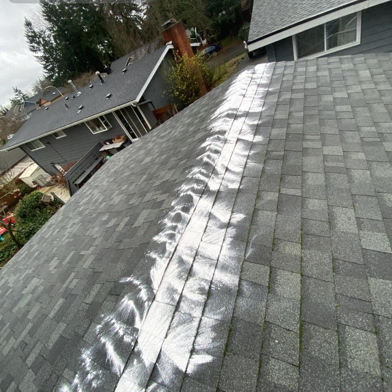 Roof shingles with moss treatment application pattern