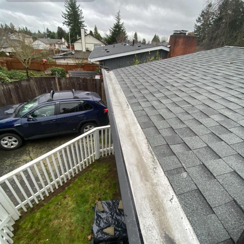 Roof edge and gutters with debris buildup in Arlington, WA