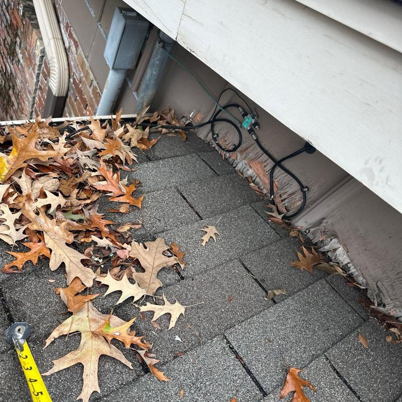 Soffit fascia and roof shingles with leaf debris