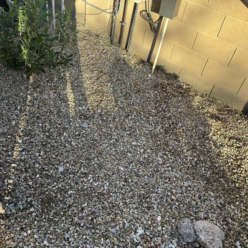 Gas line installation for backup generator in yard