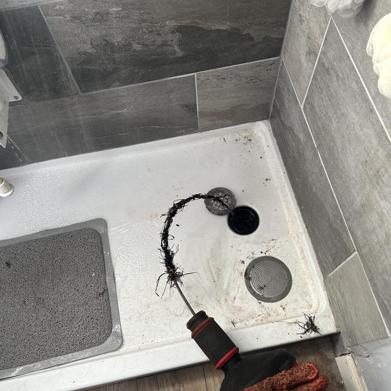 Shower drain with roots pulled by plumbing snake cable