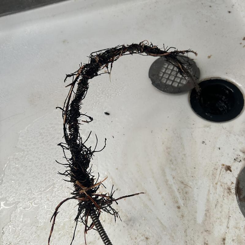 Shower drain root clog removed with sewer snake cable
