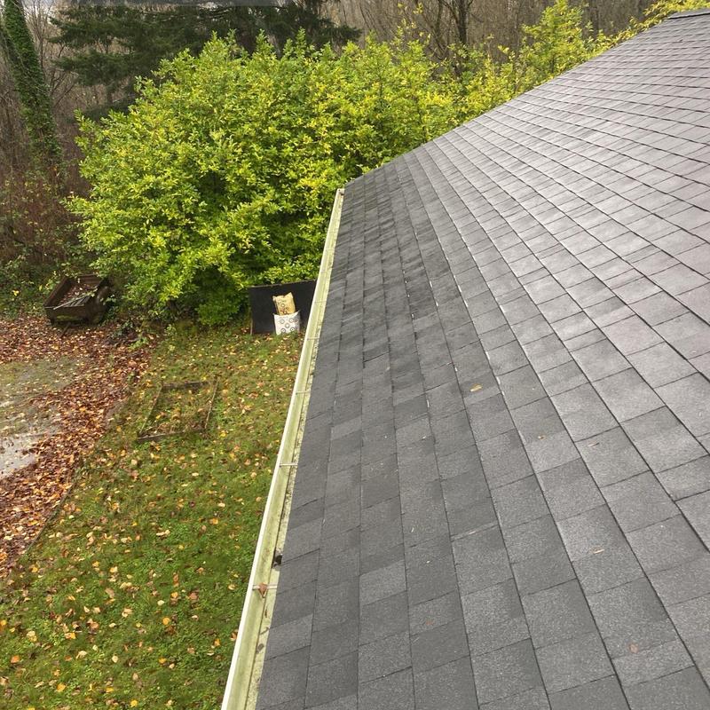 Gutter and roof edge with scattered leaves in yard