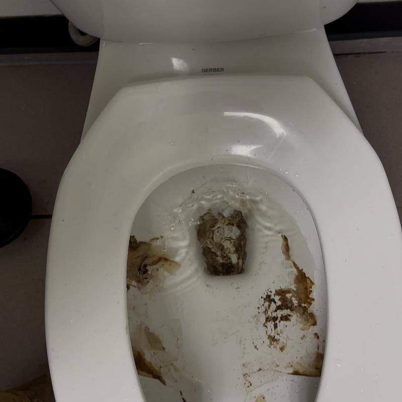 Toilet bowl with clogged waste and standing water