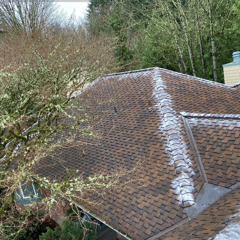 Roof shingles with moss treatment and cleared debris