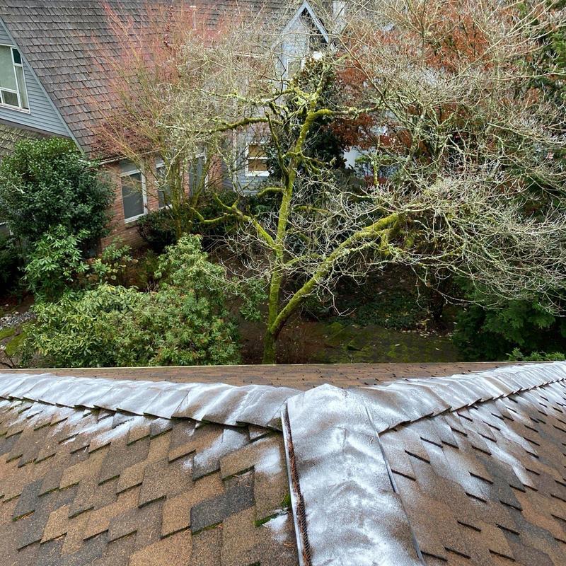 Roof shingles with moss treatment and clearing debris