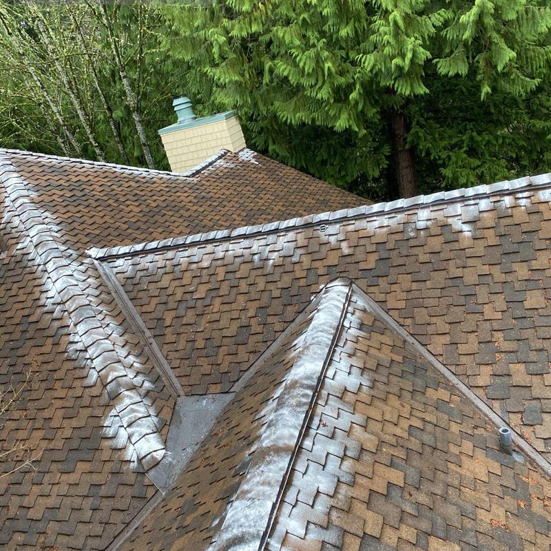 Asphalt roof shingles with moss treatment applied