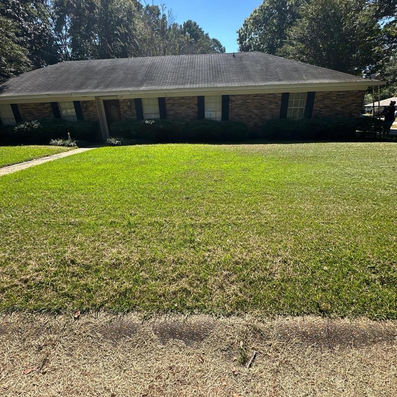 Asphalt shingle roof on residential house under inspection