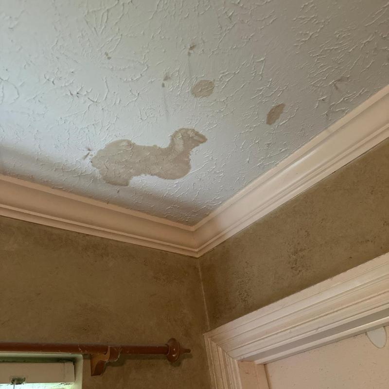 Ceiling drywall with water stains near crown molding