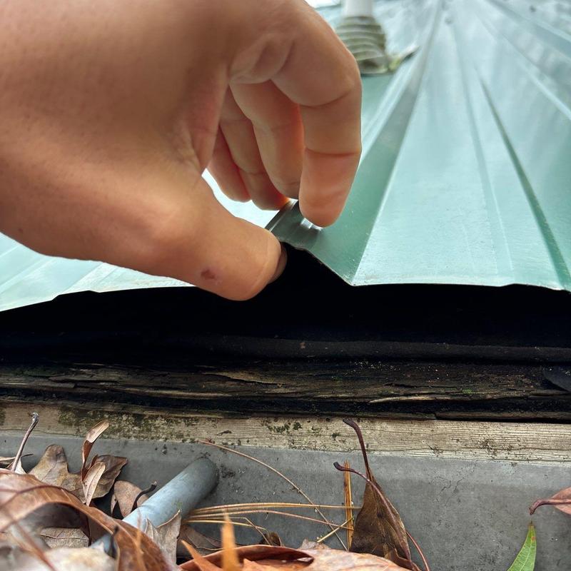 Metal roofing inspection showing damaged underlayer
