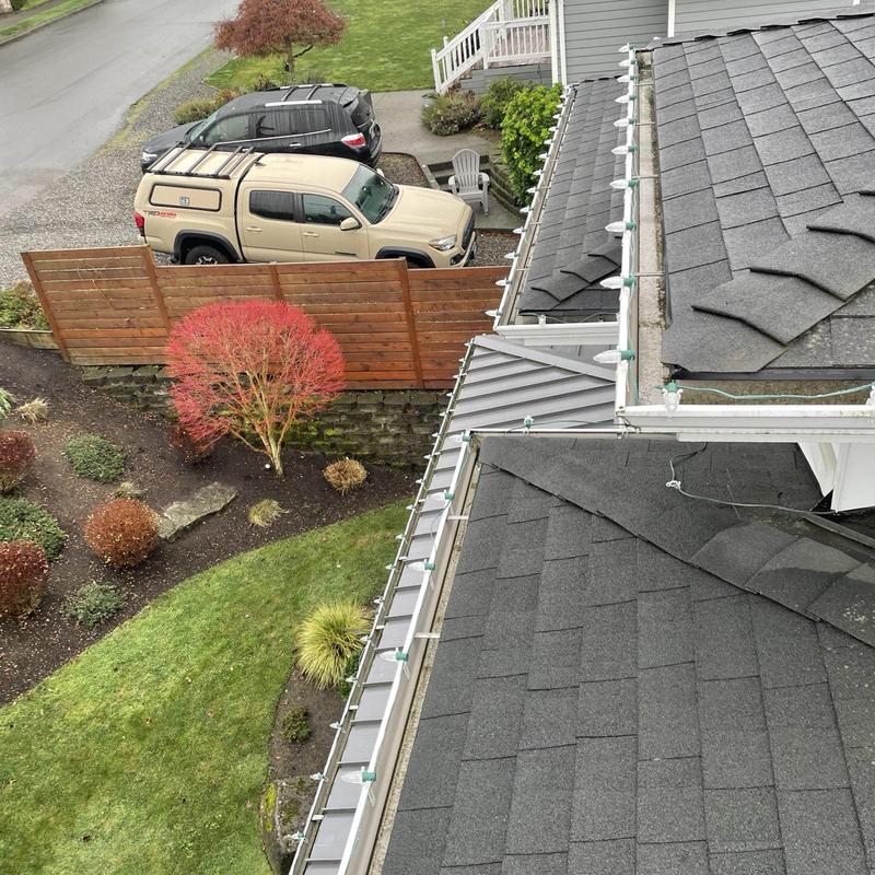 Roof gutters with seasonal leaf buildup removed