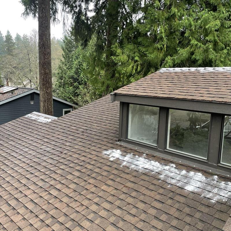 Asphalt shingle roof with moss treatment powder applied