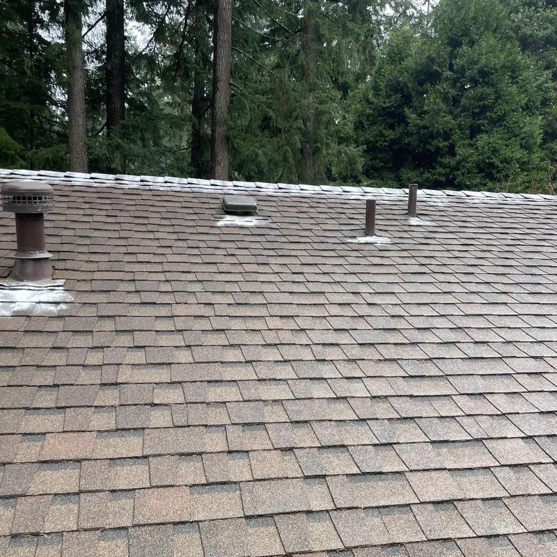 Roof shingles with vents and chimneys on a forested property