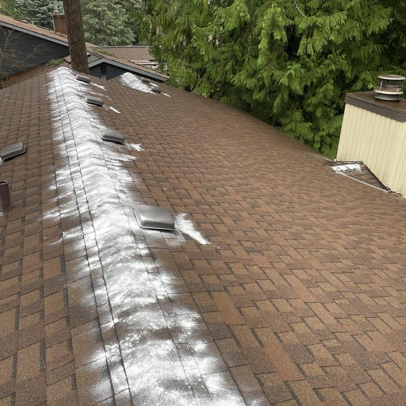 Asphalt shingle roof with moss treatment powder applied