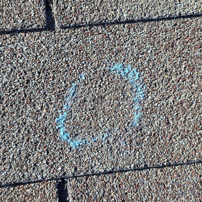 Asphalt shingle roof with hail damage marked in blue