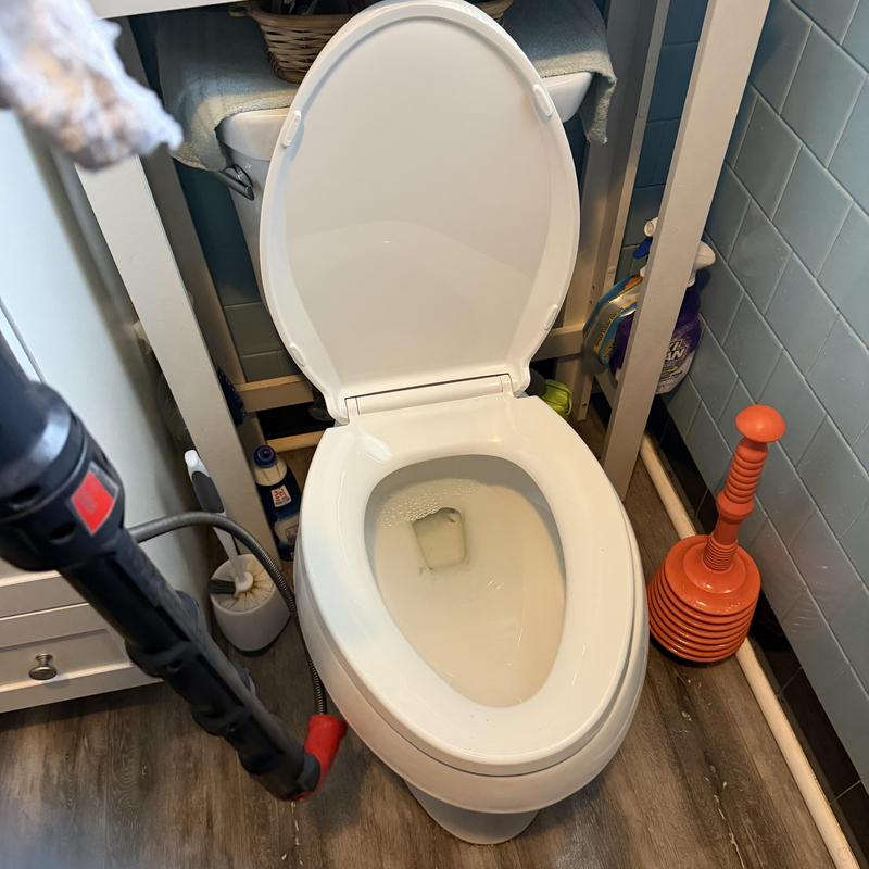 Toilet basin with plumbing snake for clog removal