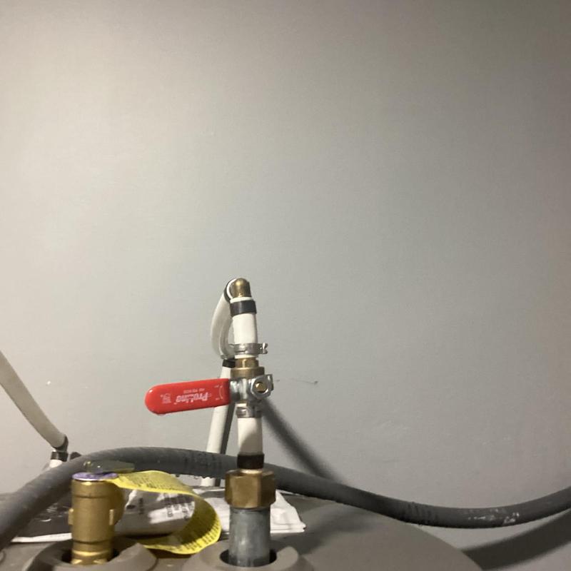 Twelve PEX to CPVC pipe section with valve