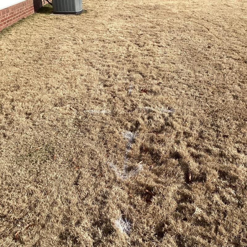 Buried pipe trench marked on dry grass lawn