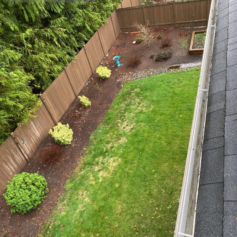 Roof gutter with minor debris buildup along garden edge