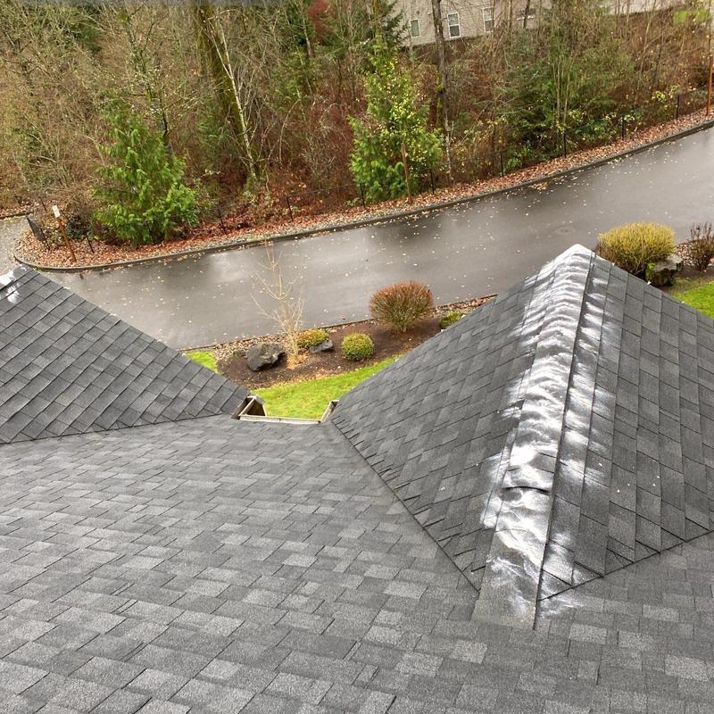 Roof ridge with moss treatment and cleaning on shingles