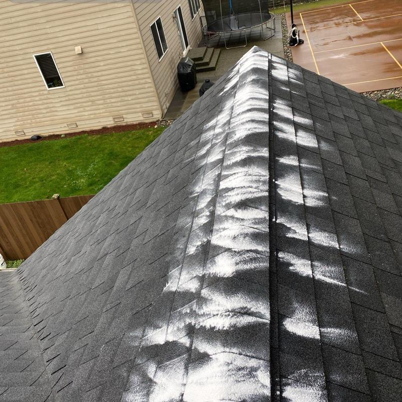 Asphalt shingle roof with white moss treatment applied