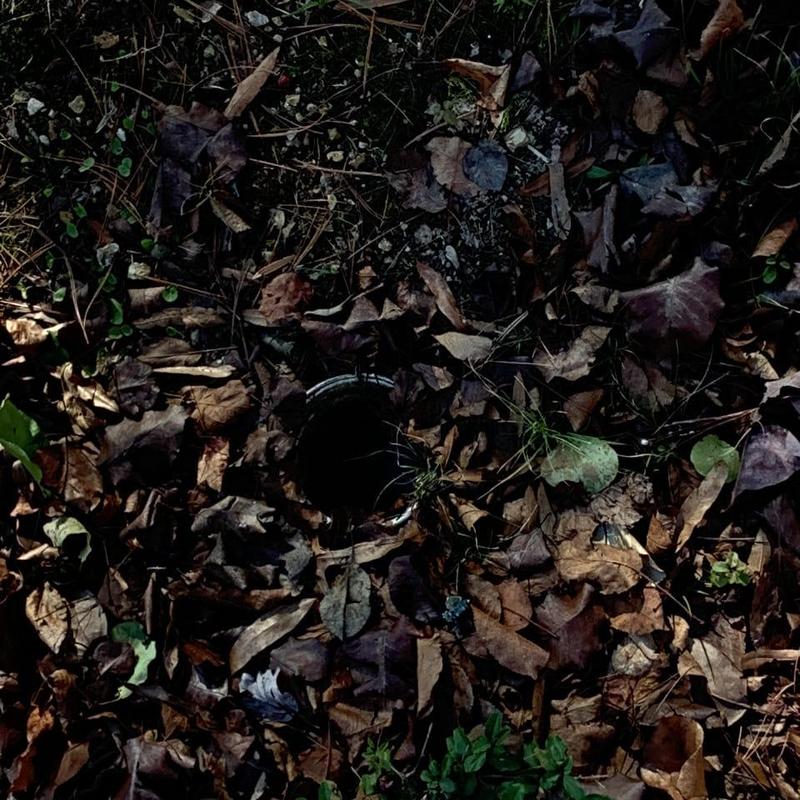 Main sewer line cable access buried under leaves