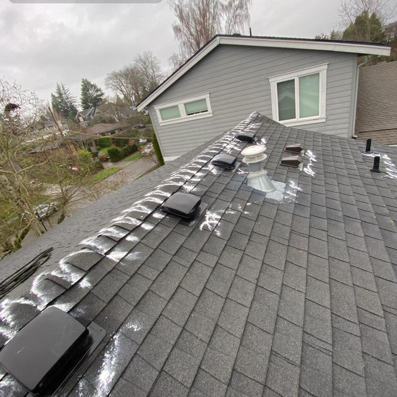 Asphalt shingle roof with moss treatment application