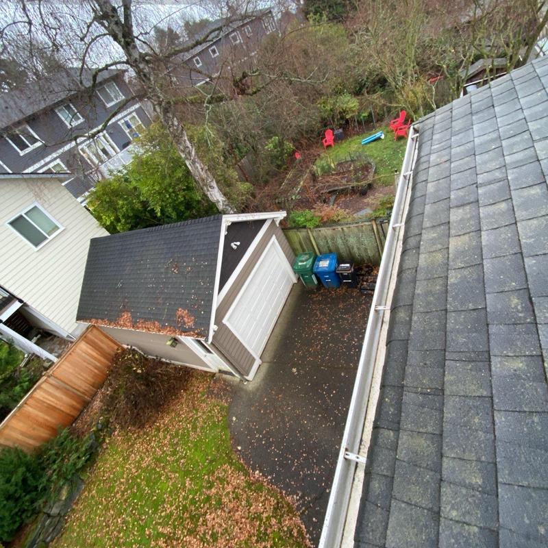 Roof shingles and gutters with leaf debris buildup