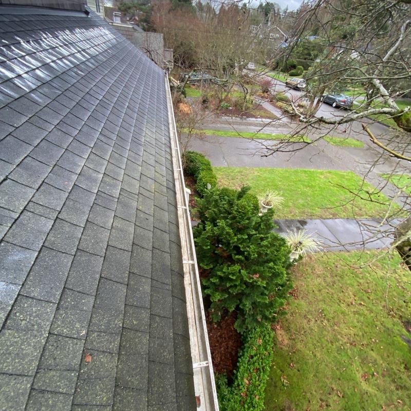 Asphalt shingle roof with cleaning and moss treatment