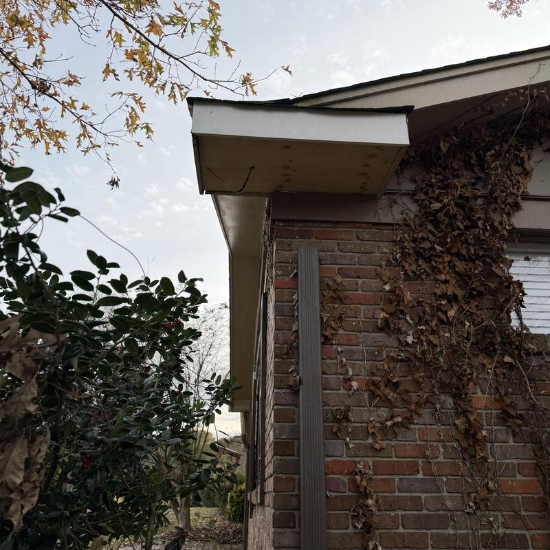 Soffit and fascia on brick house exterior with vines Soffit and fascia on brick house exterior with vines