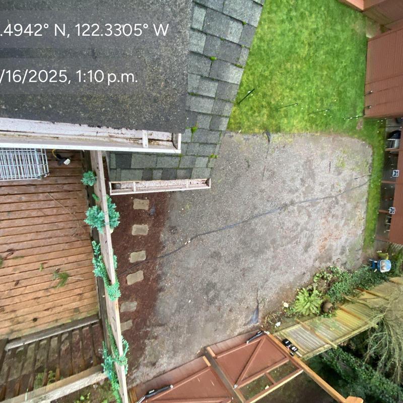 Gutter cleaning and roof leaf blow in Arlington