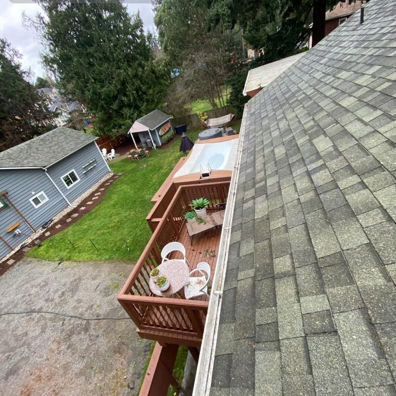Gutter cleaning and roof leaf blowing on shingle roof
